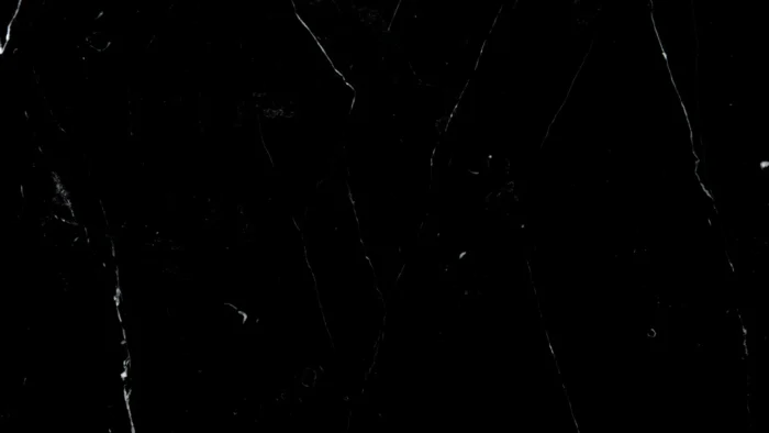 Absolute Black Marble 2