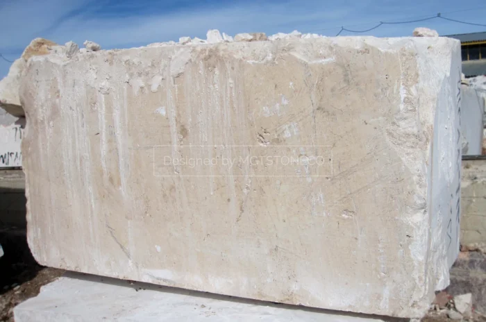 Bianco Coral Marble 3