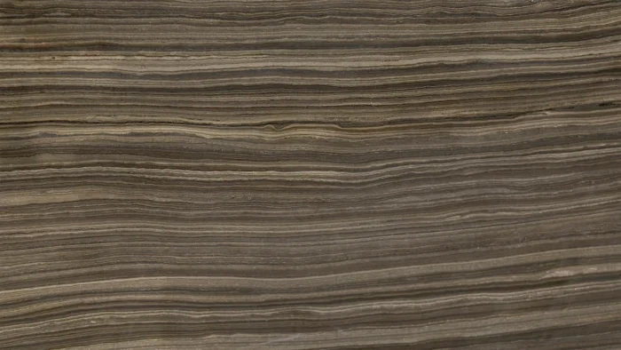 Eramosa Wood Marble 2