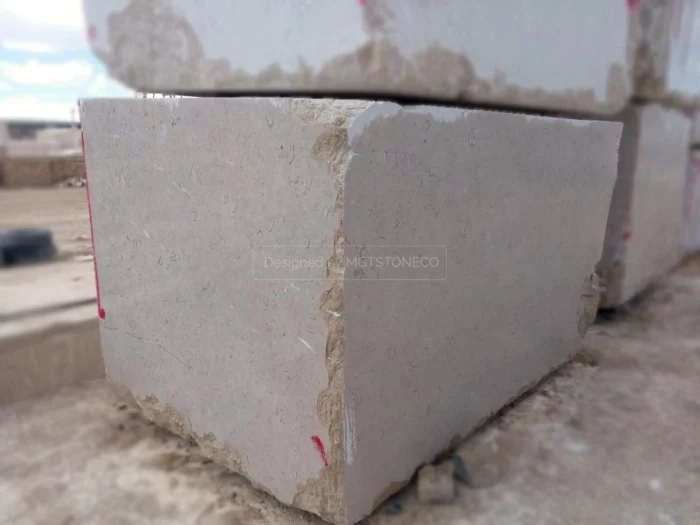 Fossil Marble