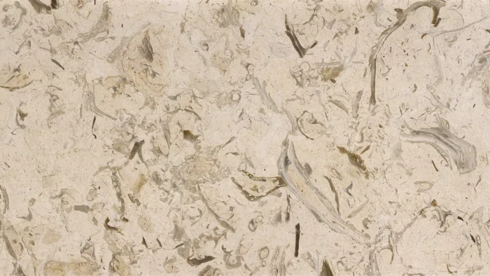 Fossil Marble 2