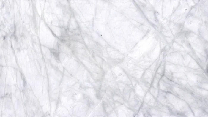 Frozen Blue Vein Marble