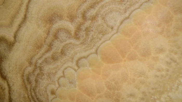 Caramel Onyx 2