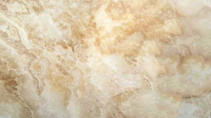 Honey Traonyx 2