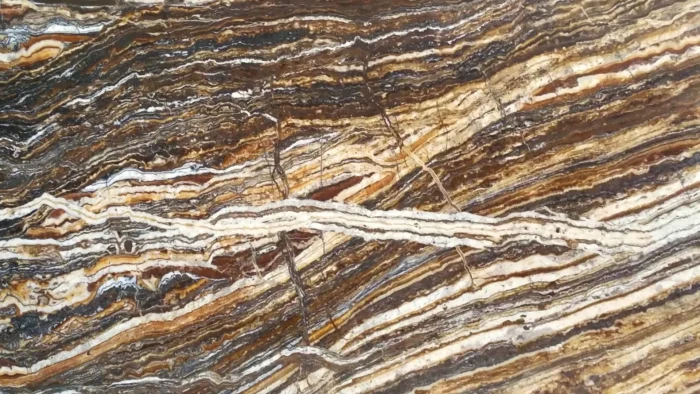 Karmania Traonyx 2