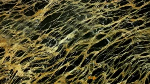 Portoro Marble