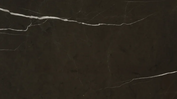 Pietra Grey Marble 2