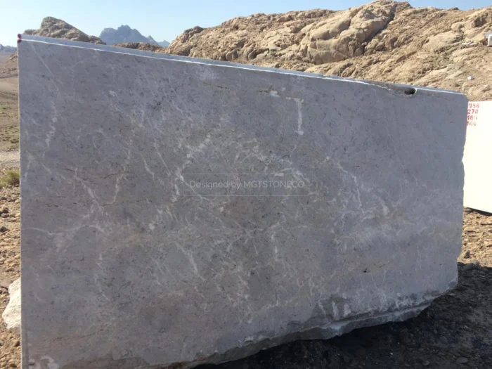Tundra Gray Marble 2