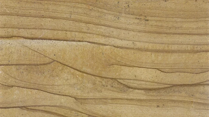 Wood Sandstone