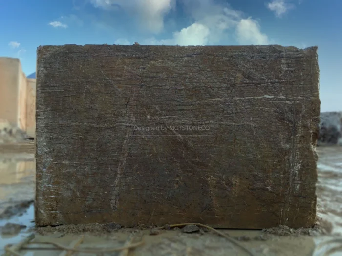 Wood Travertine 3